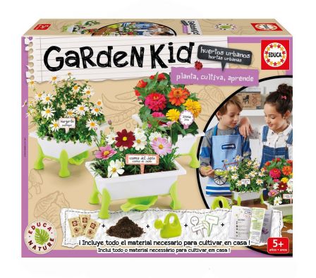 COSMOS-MARGARITA-ZINN